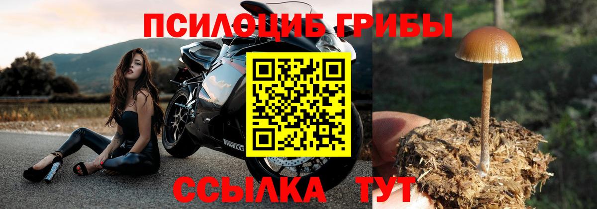 Галлюциногенные грибы Psilocybine cubensis  Вход с VPN  Галлюциногенные грибы Cubensis  купить наркотики сайты  Уфа 